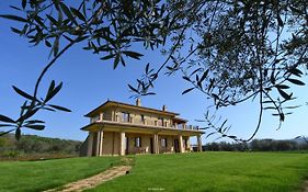 Il Casale degli Ulivi
